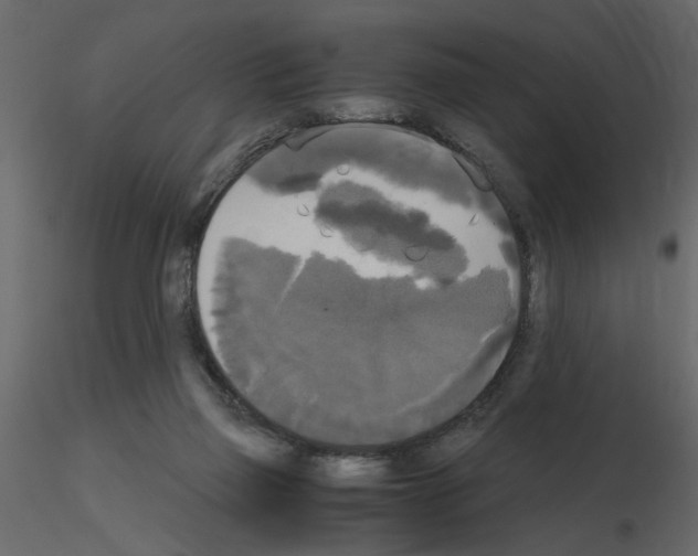 X0000115660165200912241406