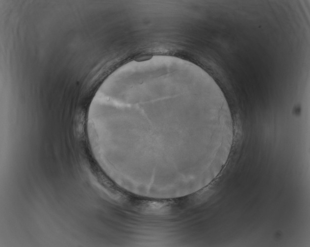 X0000115660166200912241406
