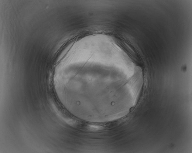 X0000115660167200912241406