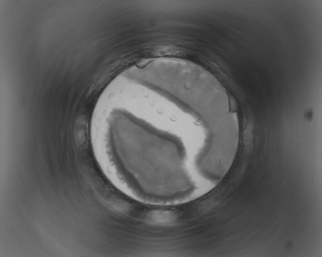 X0000115660169200912241406