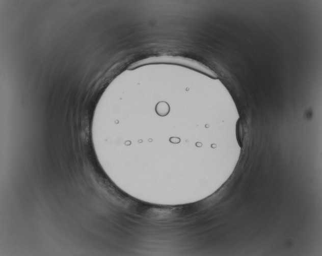 X0000115660170200912241406