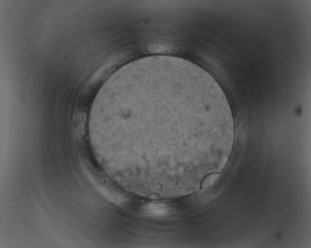 X0000115660171200912241406