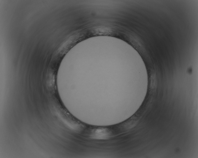 X0000115660173200912241406