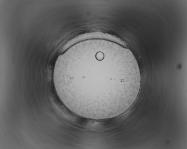 X0000115660174200912241406
