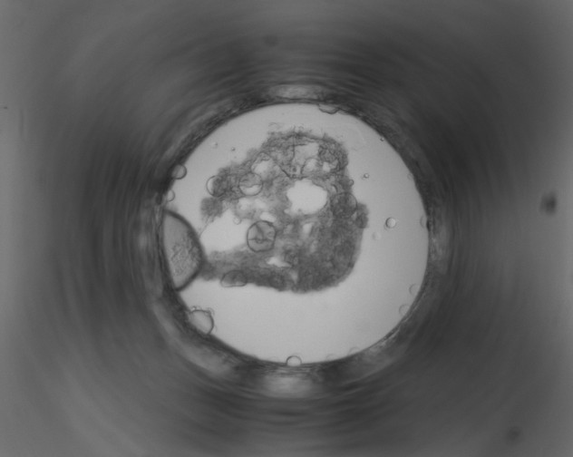 X0000115660175200912241406