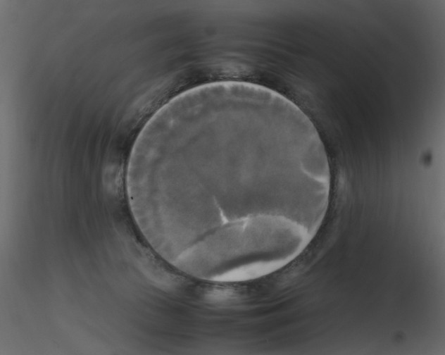 X0000115660177200912241406