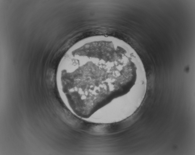 X0000115660178200912241406