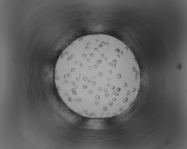 X0000115660179200912241406