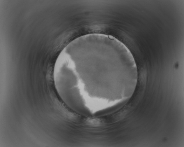 X0000115660181200912241406