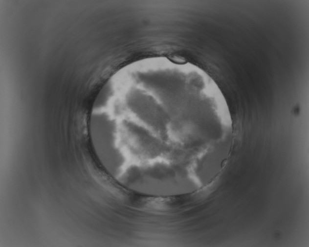 X0000115660182200912241406