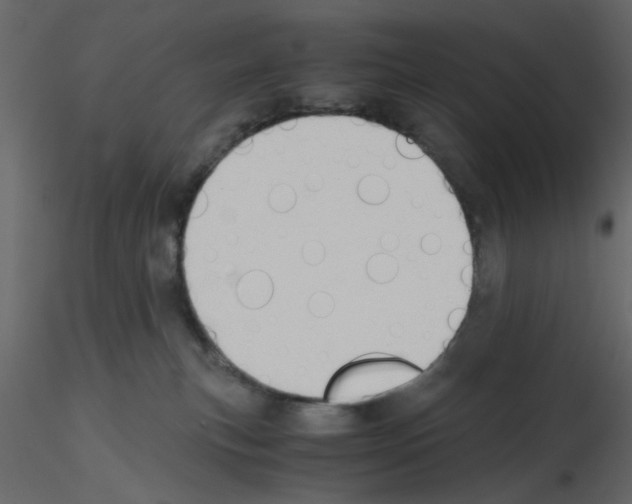 X0000115660183200912241406