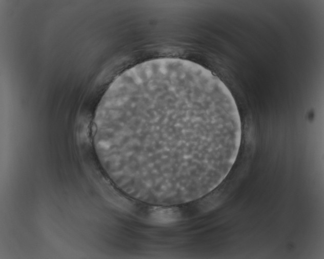 X0000115660185200912241406