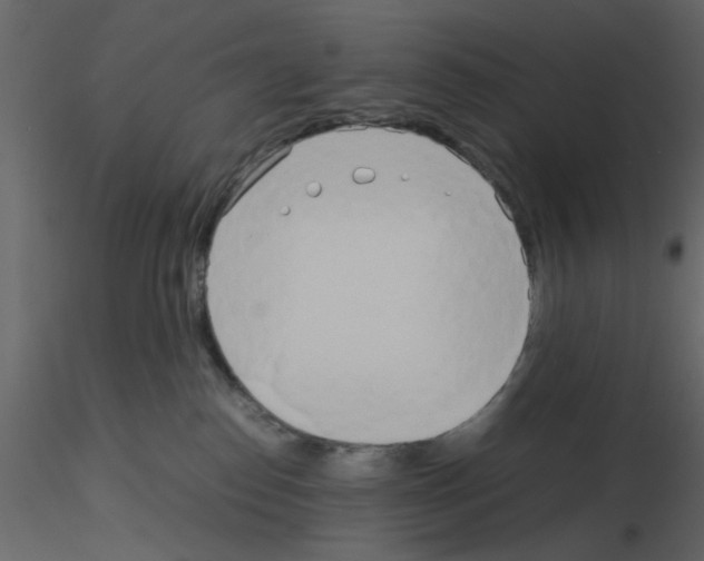 X0000115660186200912241406