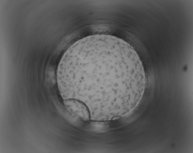 X0000115660187200912241406