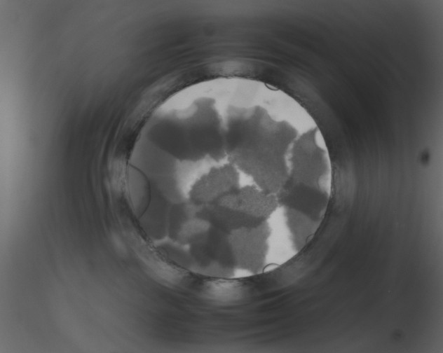 X0000115660189200912241406