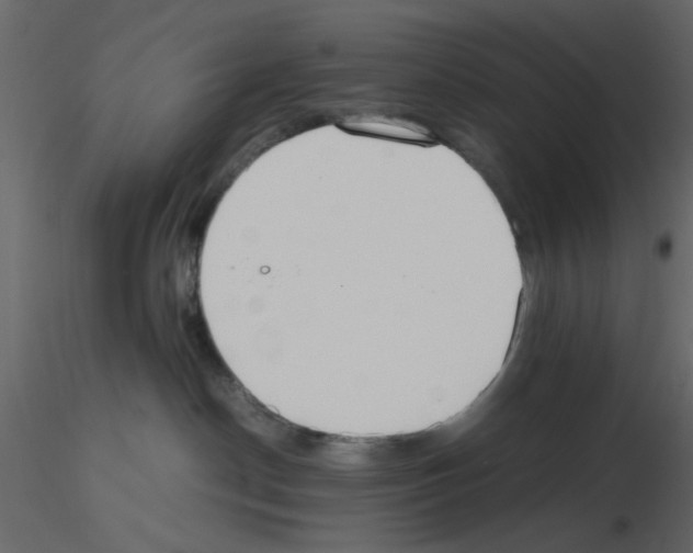 X0000115660190200912241406