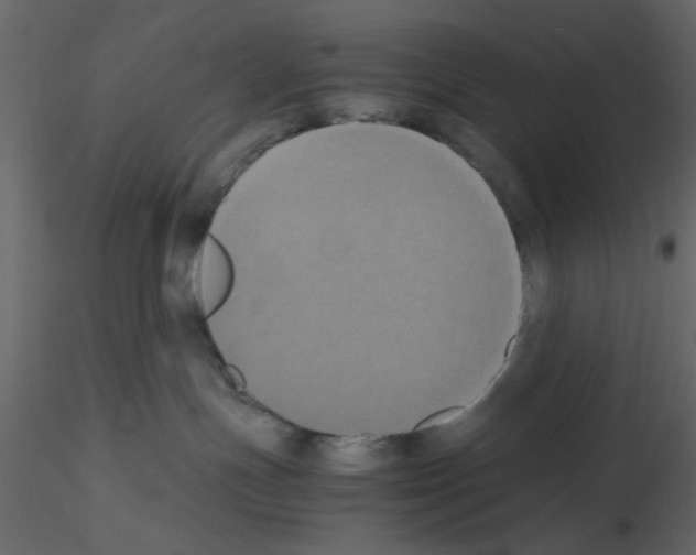 X0000115660191200912241406