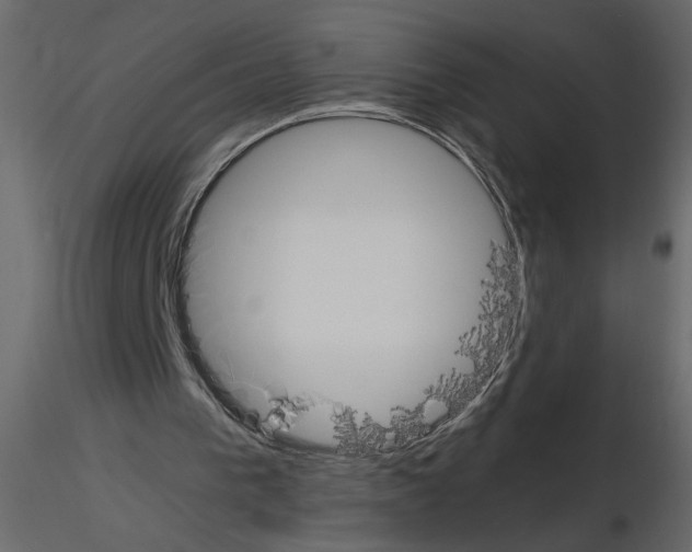 X0000115660193200912241406