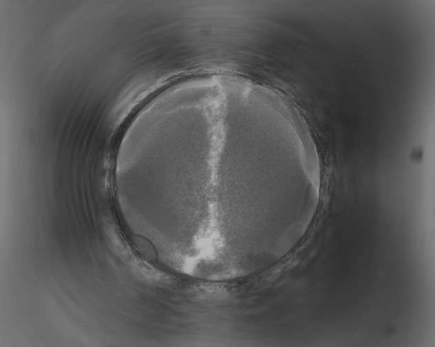X0000115660194200912241406