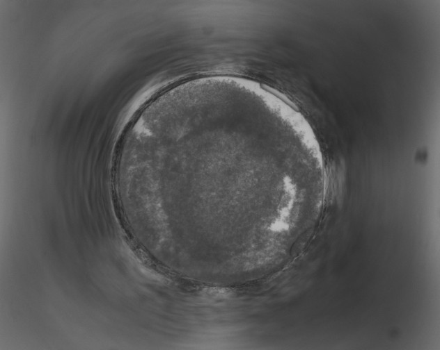 X0000115660195200912241406