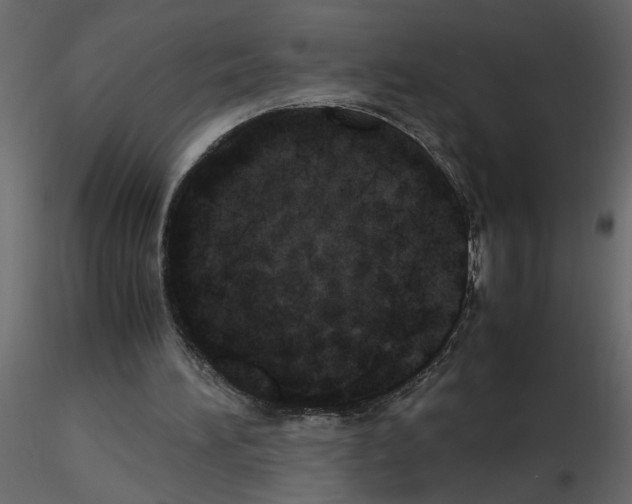 X0000115660196200912241406