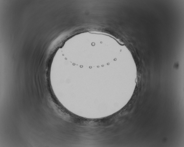 X0000115660197200912241406