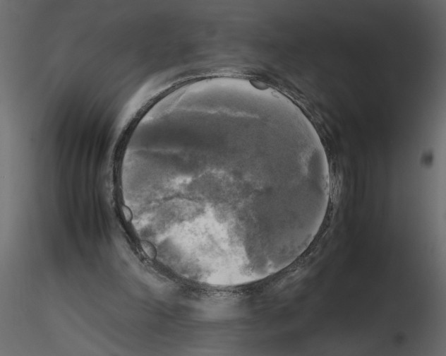 X0000115660198200912241406