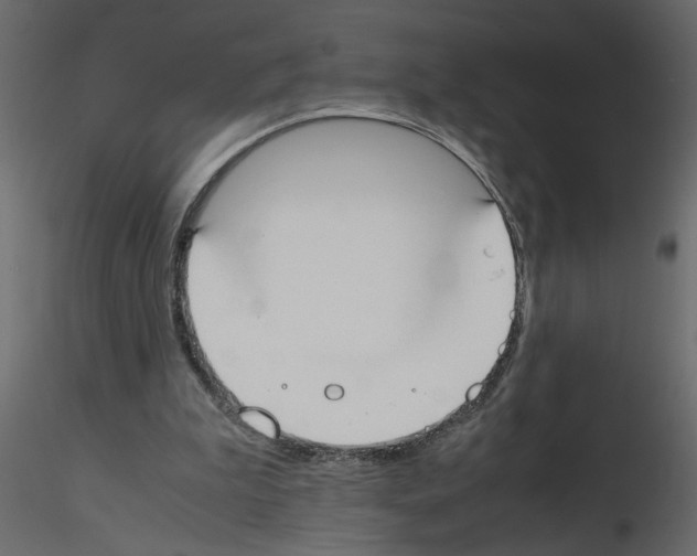 X0000115660199200912241406