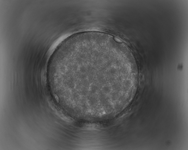 X0000115660200200912241406