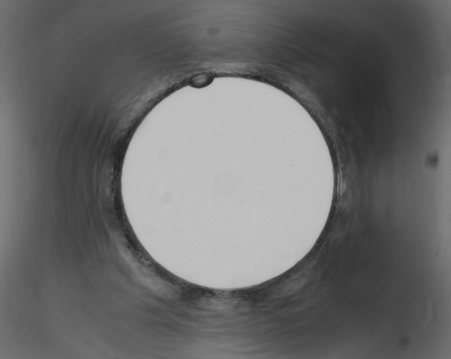 X0000115660201200912241406
