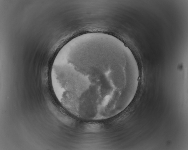 X0000115660202200912241406