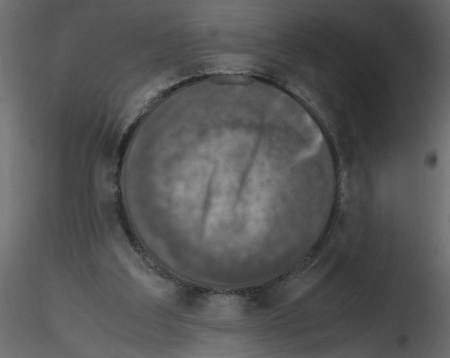 X0000115660203200912241406