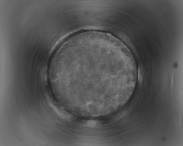 X0000115660204200912241406