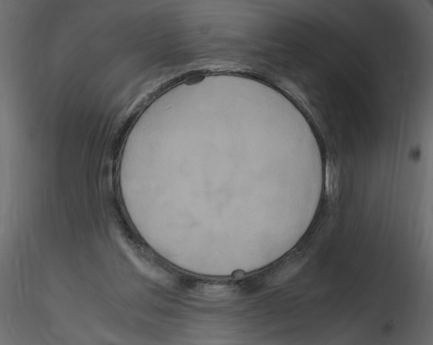 X0000115660205200912241406