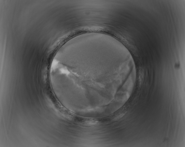 X0000115660206200912241406