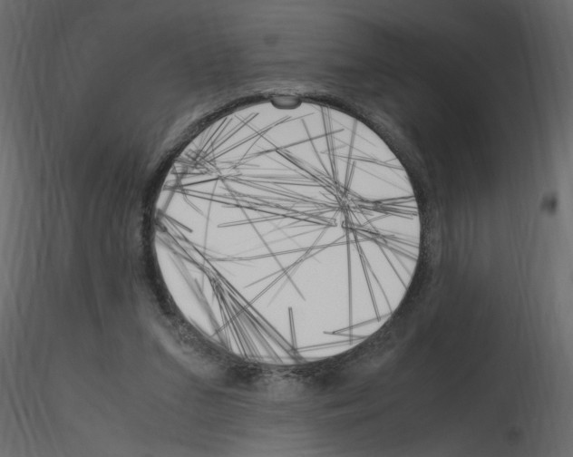 X0000115660207200912241406