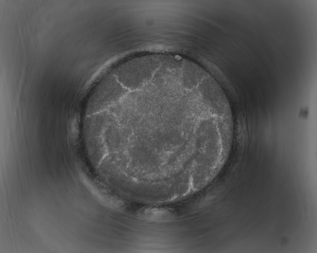 X0000115660208200912241406