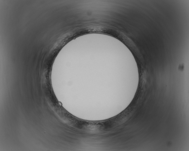 X0000115660209200912241406