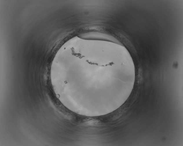 X0000115660210200912241406