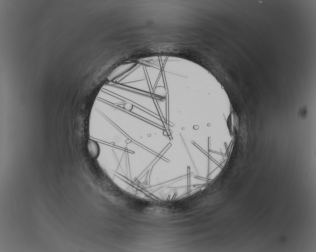 X0000115660211200912241405