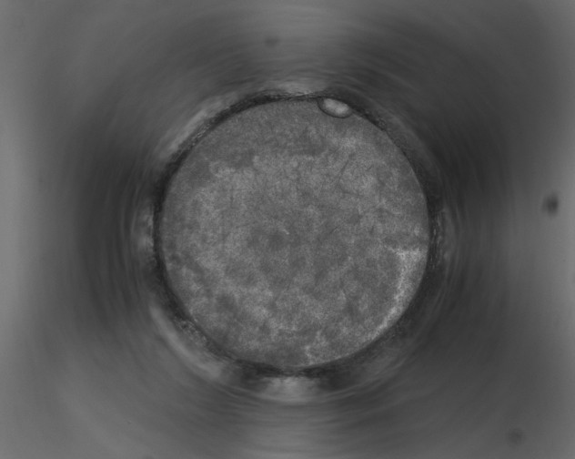 X0000115660212200912241405