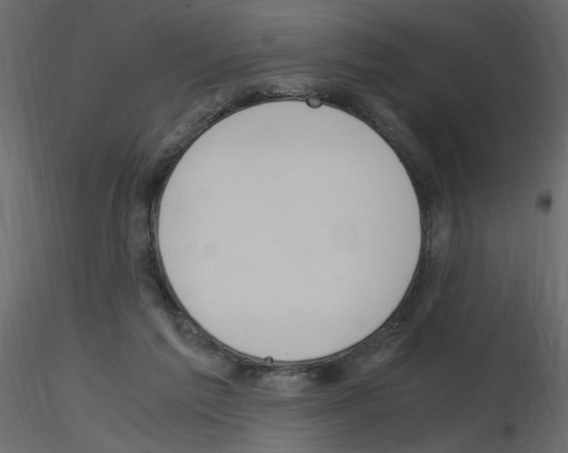 X0000115660213200912241405