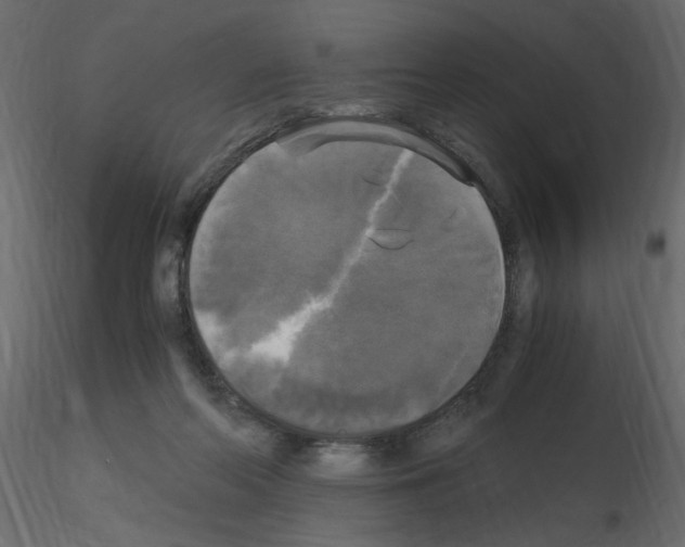 X0000115660214200912241405