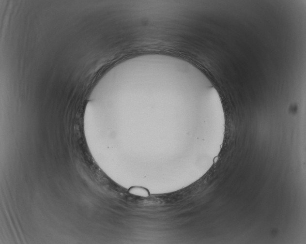 X0000115660215200912241405