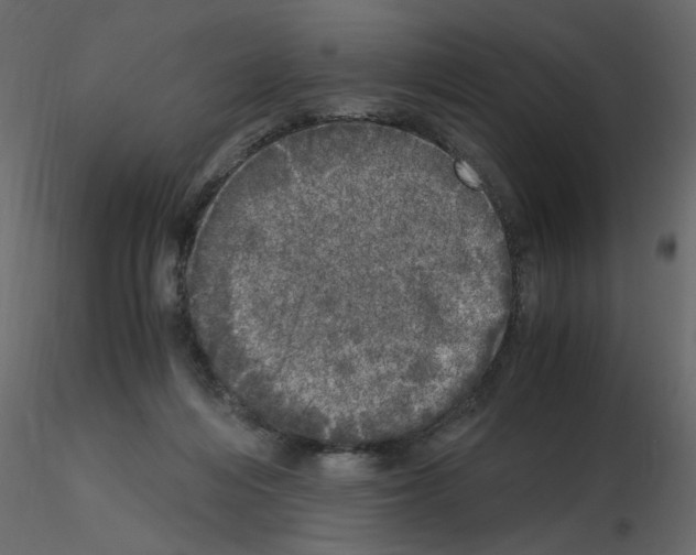 X0000115660216200912241405