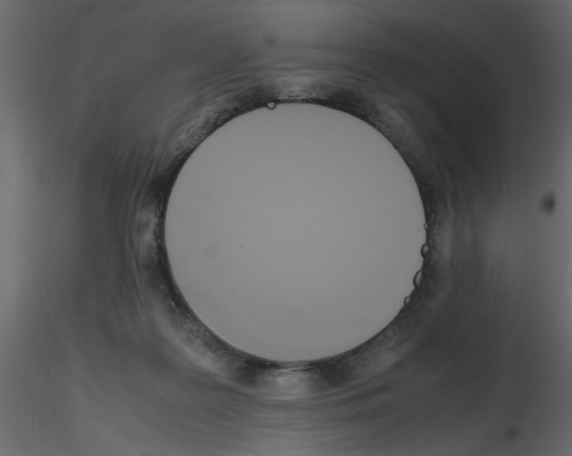 X0000115660219200912241405