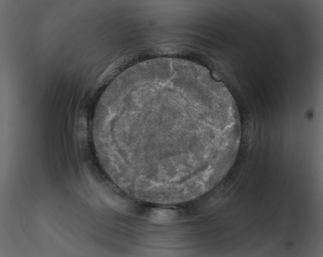 X0000115660220200912241405