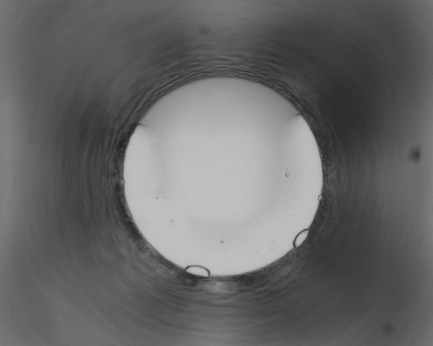 X0000115660221200912241405