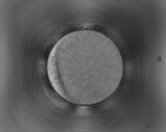 X0000115660222200912241405