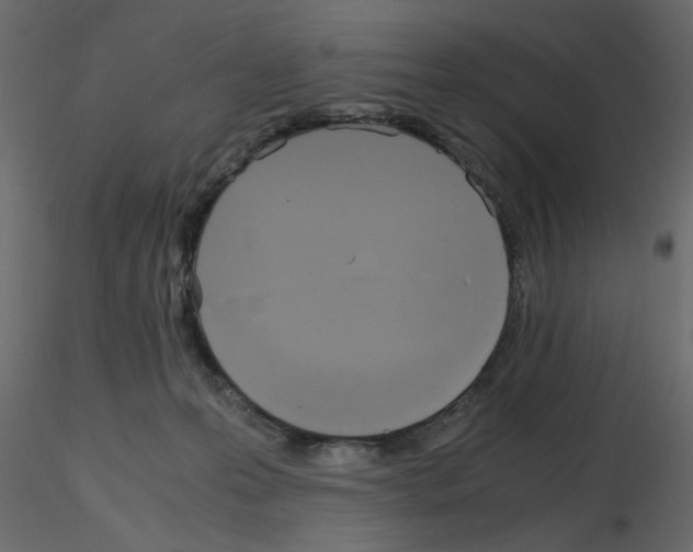 X0000115660223200912241405